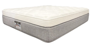 Dual Touch Elegance Diamond